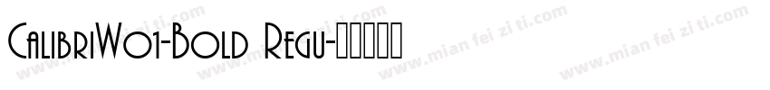 CalibriW01-Bold Regu字体转换
